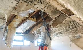 Mold Remediation for Vacation Homes in Claypool, AZ